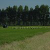 ooievaarspolderlageveldherwijnen29052020 1